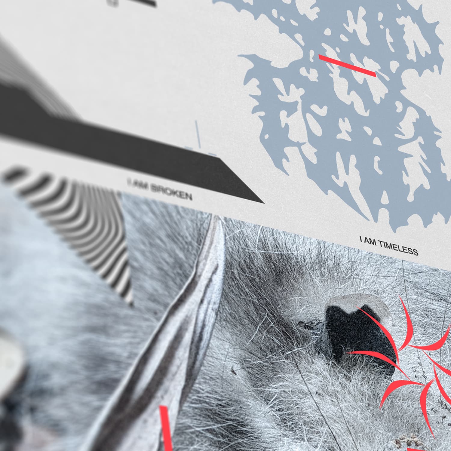 8_22_0824_DTF_Singles_RotDecay_7in_Cover_with_Vinyl_Detail